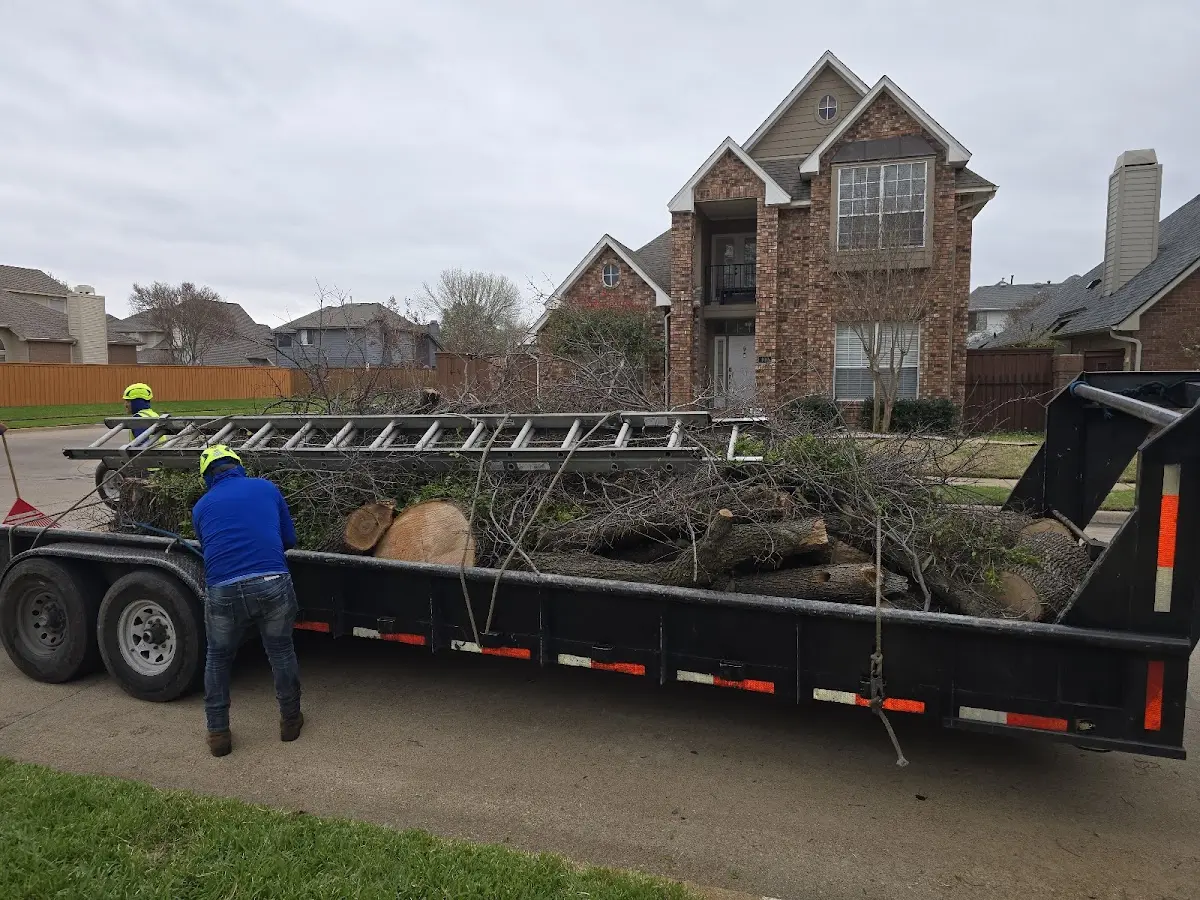 Expert Tree Fertilization with proper safety equipment in Red Cliff